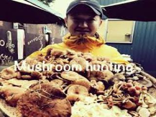 Go out to collect wild mushrooms with an expert guide. イメージ